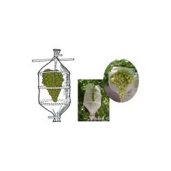 Bolsa Protectora Para Uvas 20x60 5 Ud