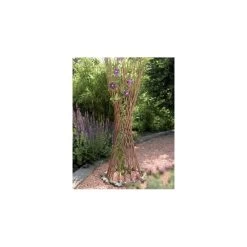 Celosia Decorativa Plegable 2