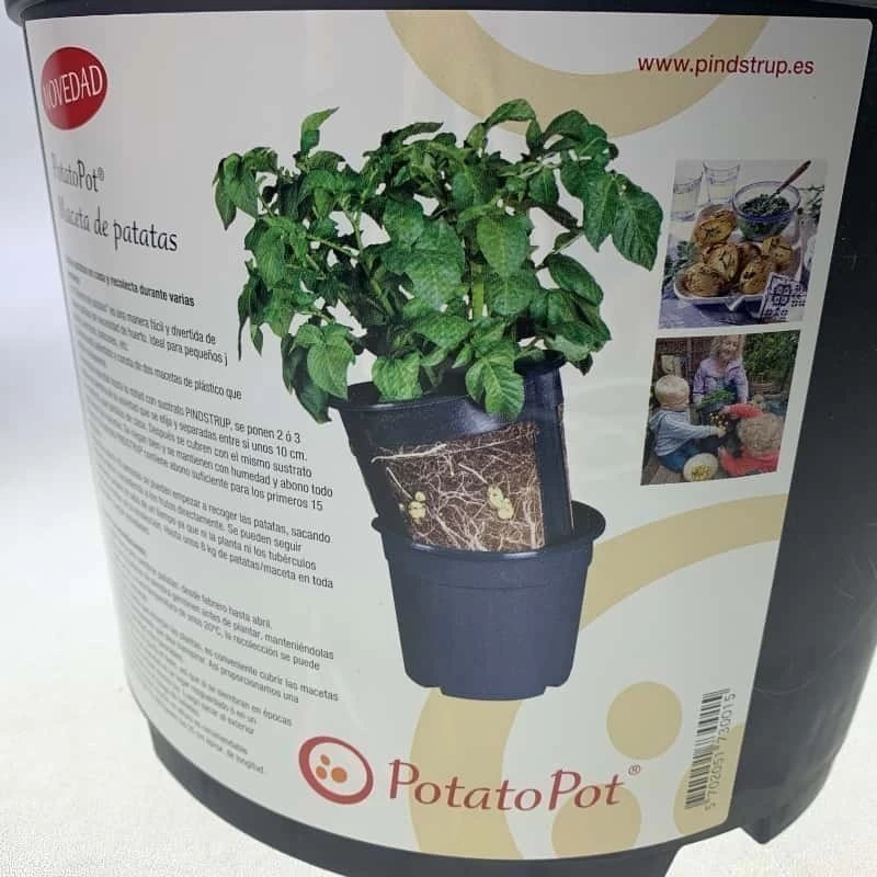 Combi Patatas 4 Combi Patatas - Imagen 2