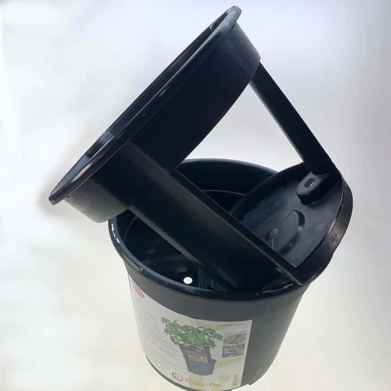 Combi Patatas 5 Combi Patatas - Imagen 3