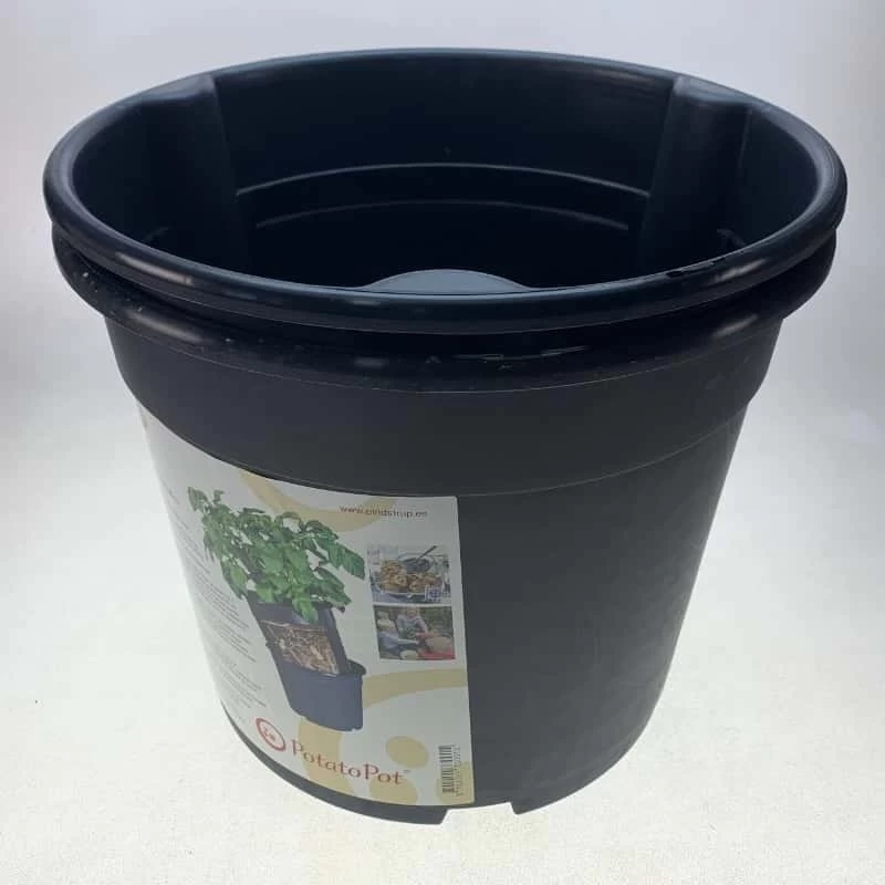 Combi Patatas 6 Combi Patatas - Imagen 4