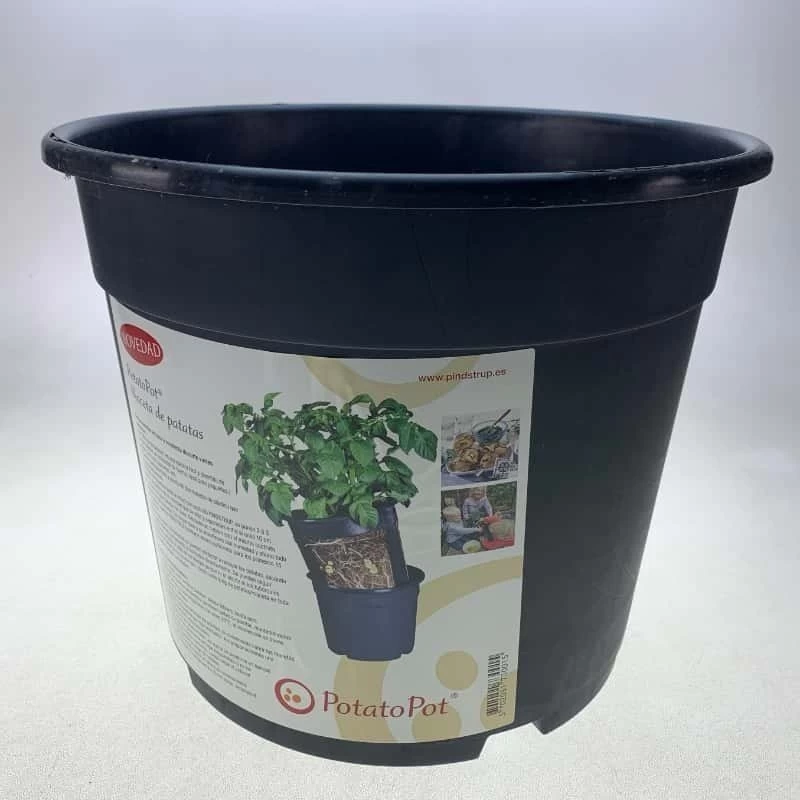 Combi Patatas 7 Combi Patatas - Imagen 5