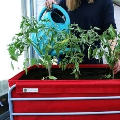 Huerto Urbano Botanicum