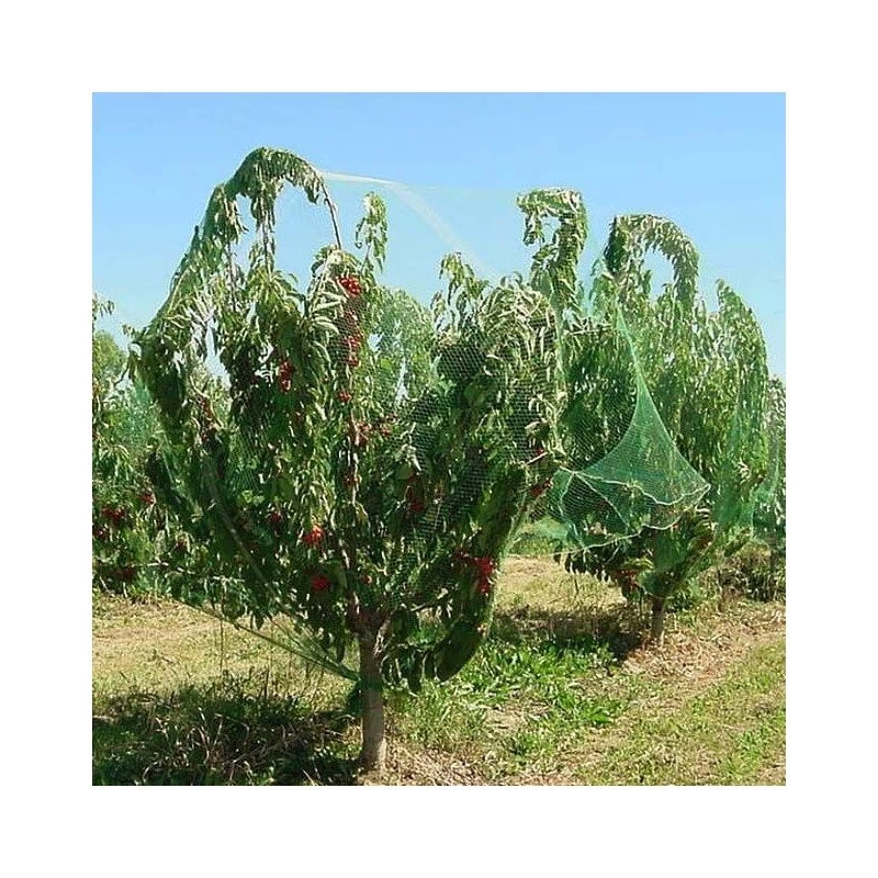 Malla Antipájaros Verde 3 Malla Antipájaros Verde