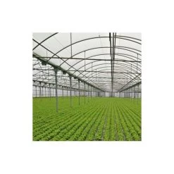 Plástico Para Acolchar Perforado Lechuga