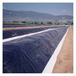 Plástico Para Espárragos