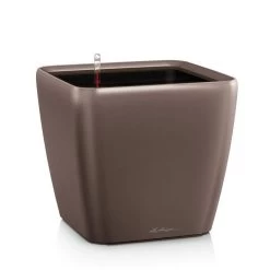 LECHUZA Quadro Premium