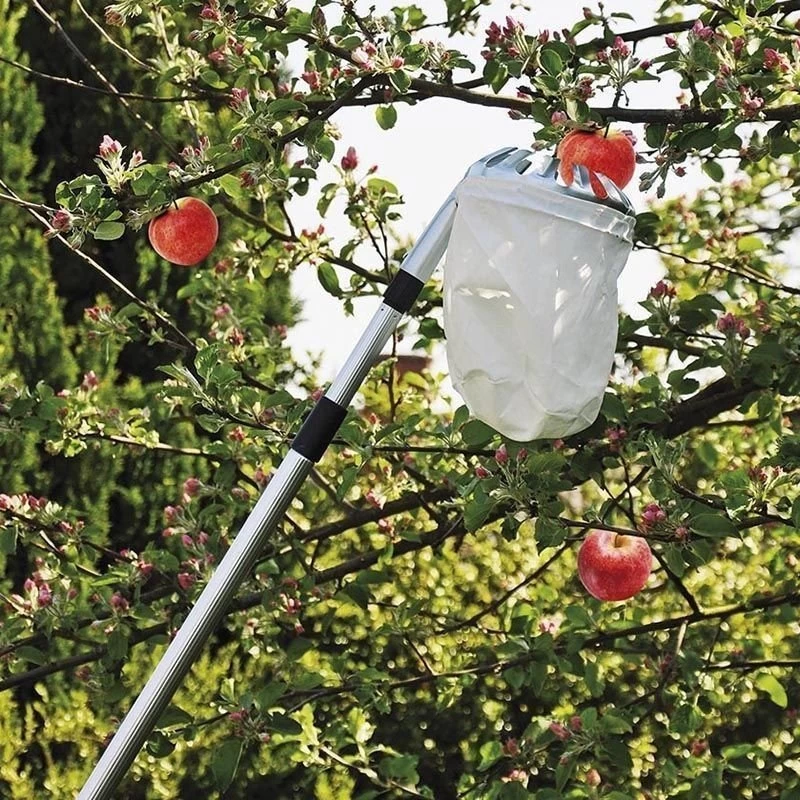 Recoge Frutas Telescopico 3 Recoge Frutas Telescopico