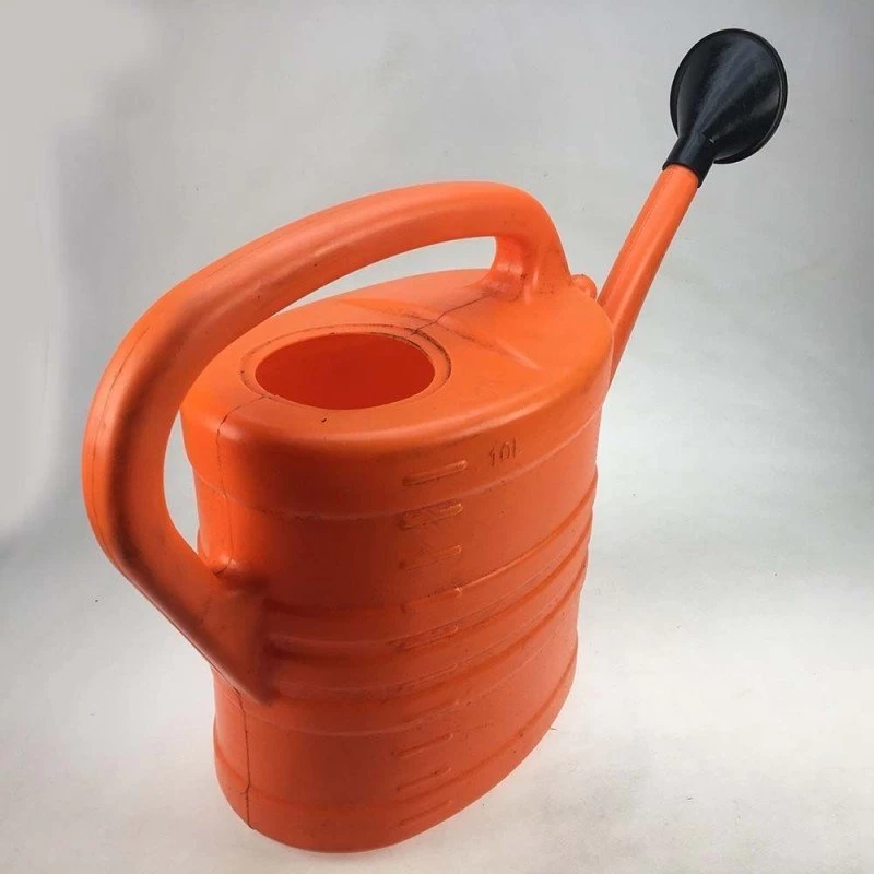 Regadera Grande 5 Regadera Grande - Imagen 3