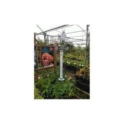 Termometro Grande Con Veleta