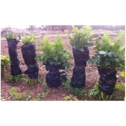 Tubo Negro Para Cardo 0.8x25 Mt